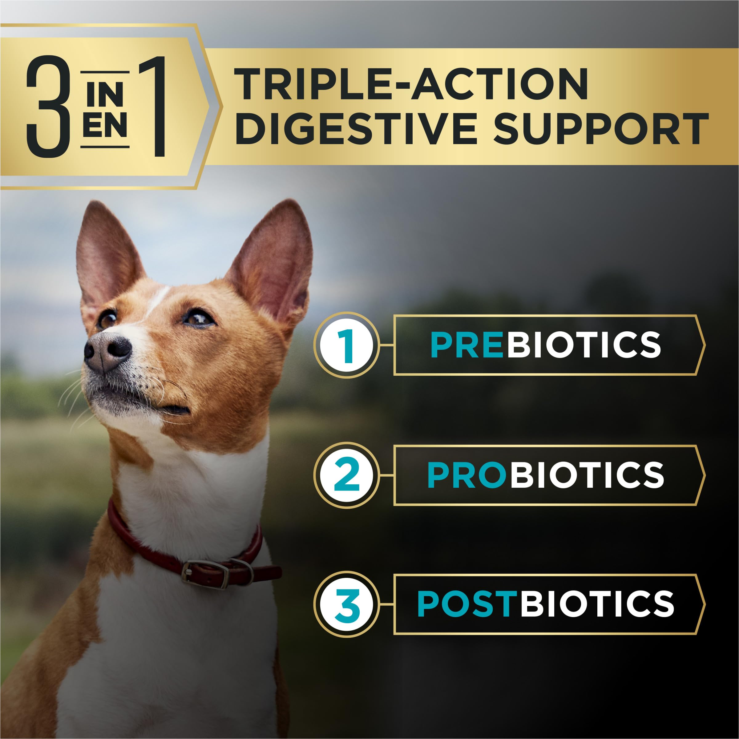 Purina Pro Plan AdvantEDGE salmón primer ingrediente, fórmula sin maíz trigo ni soya.