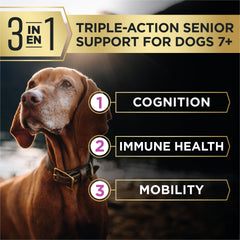 Purina Pro Plan AdvantEDGE Senior, probióticos para digestión y confort digestivo en razas grandes.