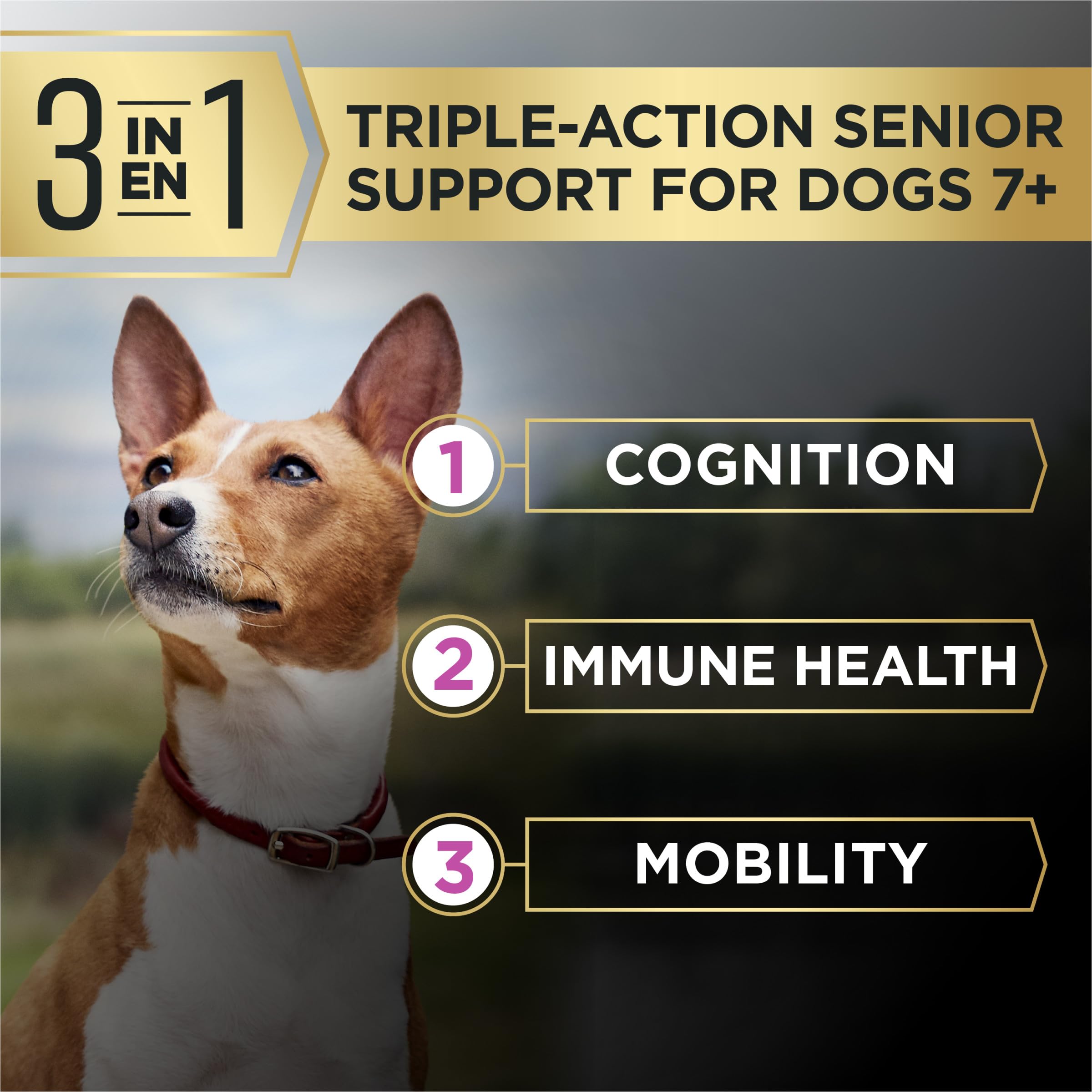 Purina Pro Plan AdvantEDGE con probióticos para salud digestiva estable.