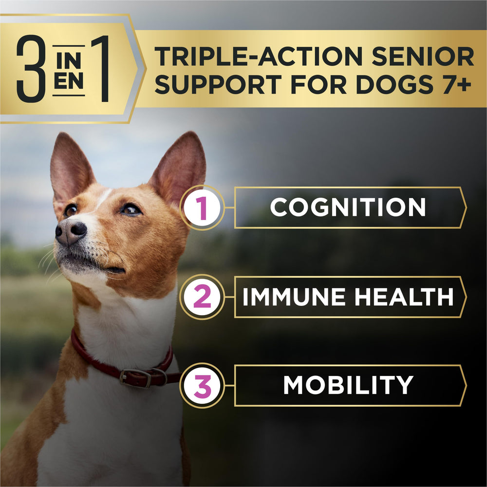 Purina Pro Plan AdvantEDGE con probióticos para salud digestiva estable.
