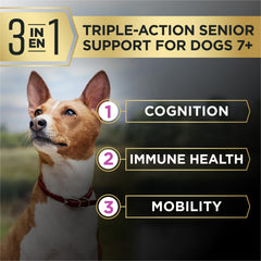 Purina Pro Plan AdvantEDGE con probióticos para salud digestiva estable.