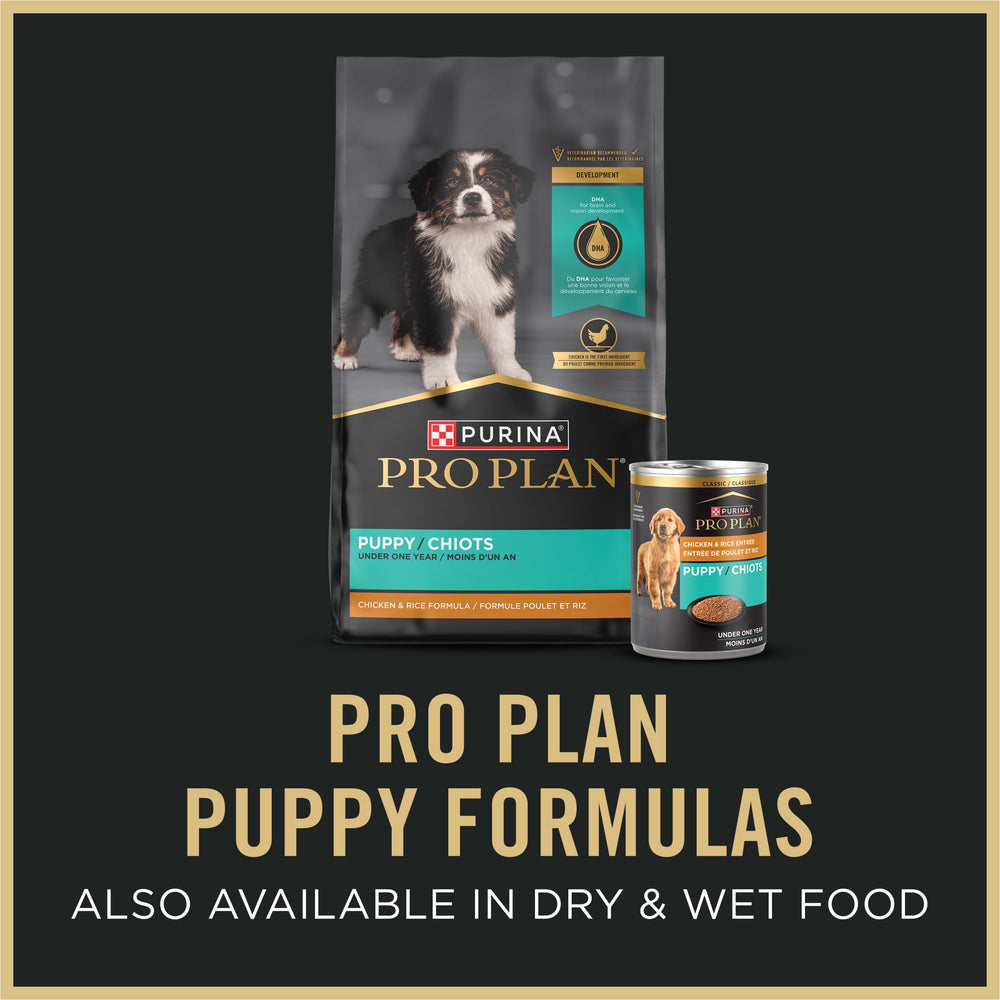 Purina Pro Plan apoyo energético para madres lactantes con cachorros