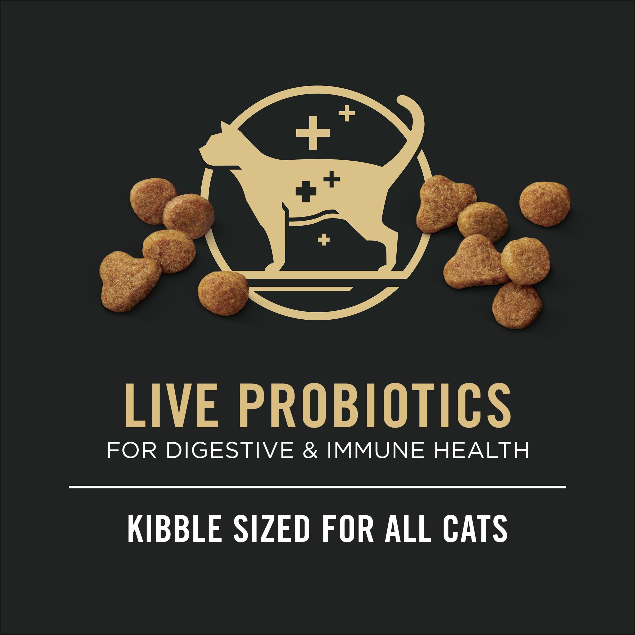 Purina Pro Plan All Life Stages croquetas en primer plano, resaltando el grano dorado.