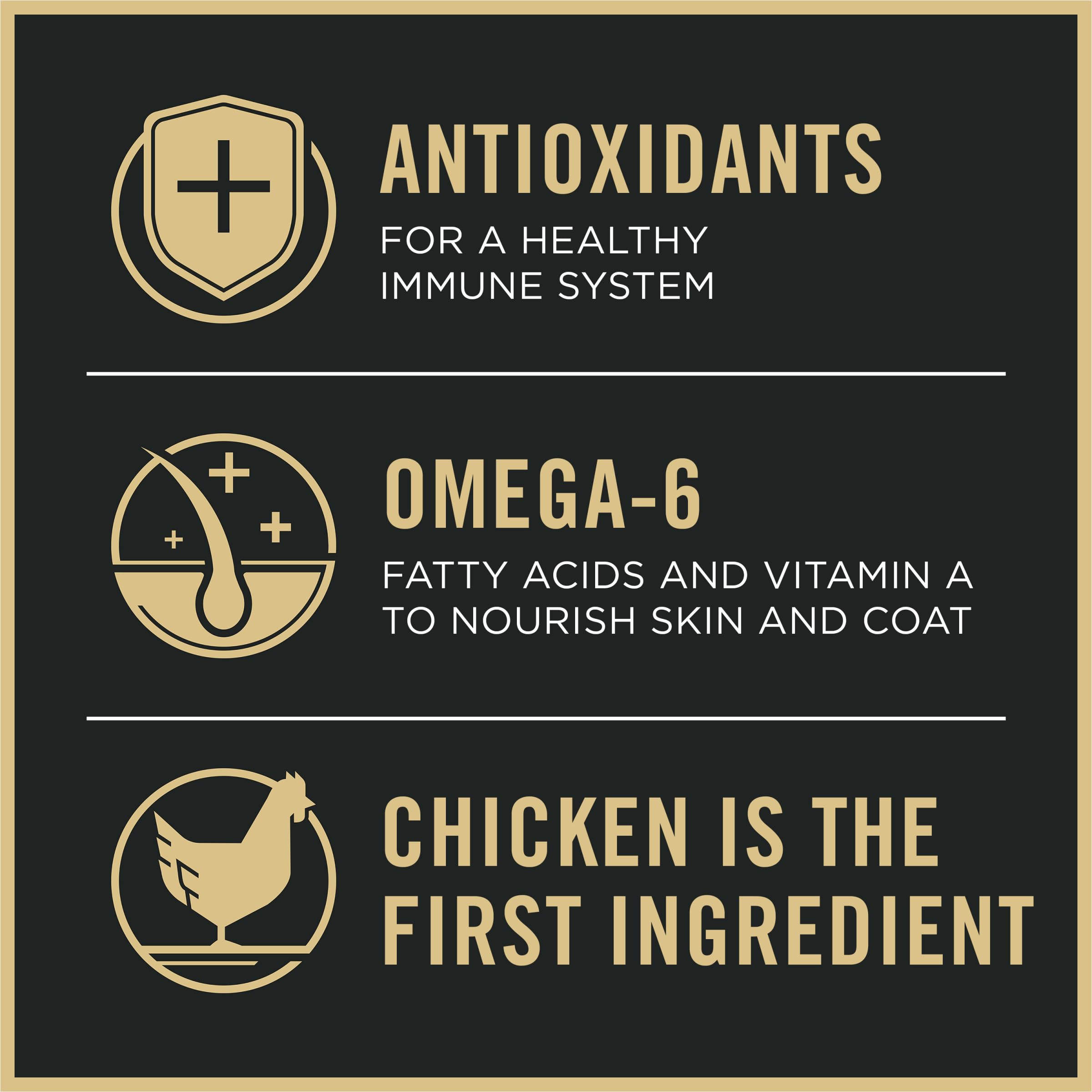 Purina Pro Plan alto contenido proteico: trozos visibles de pollo en croqueta.