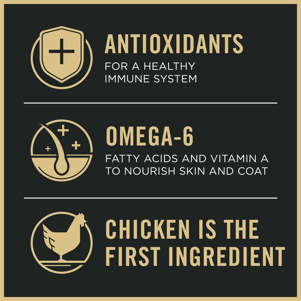 Purina Pro Plan alto contenido proteico: trozos visibles de pollo en croqueta.