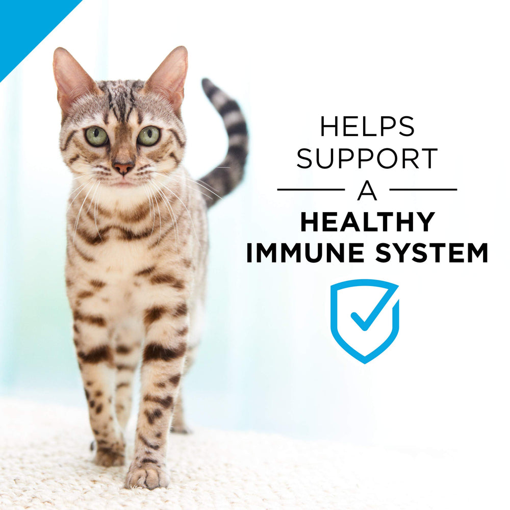 Purina Pro Plan: antioxidantes y taurina para un sistema inmunitario saludable