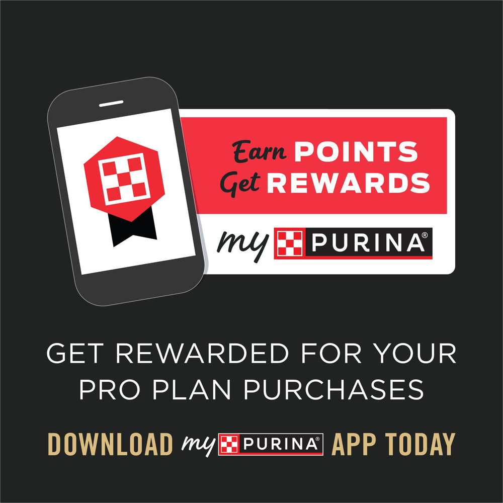 Purina Pro Plan Complete Essentials: alto nivel proteico para mantener la condición corporal.