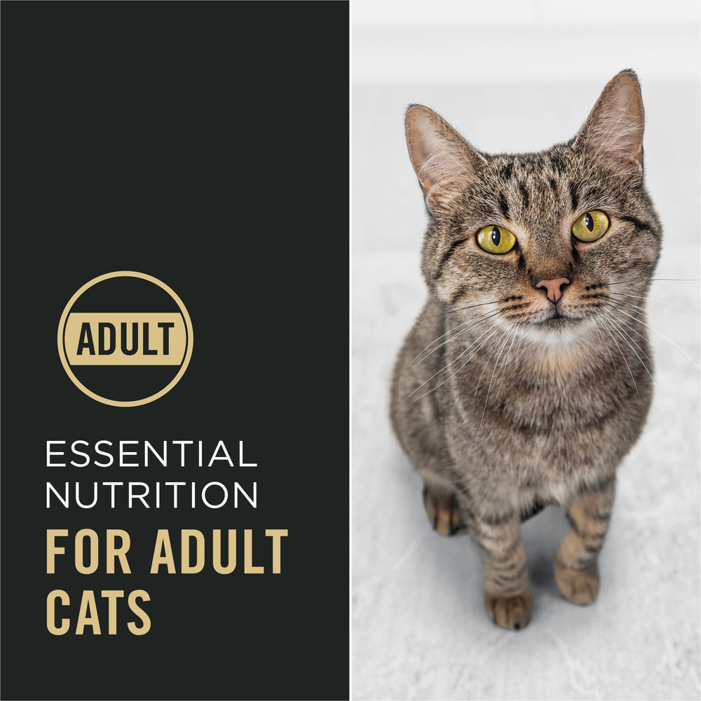 Purina Pro Plan Complete Essentials Shredded Blend proteína alta con pollo real como ingrediente principal.