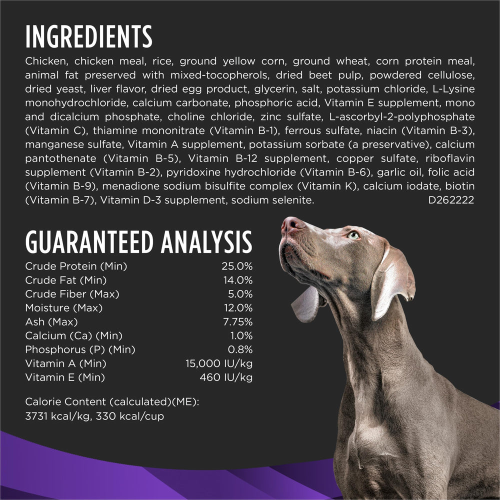 Purina Pro Plan DH: sabor agradable para perros pequeños