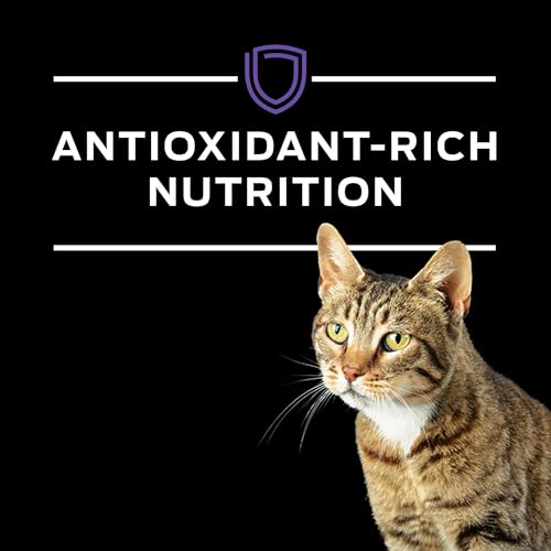 Envase práctico de Purina Pro Plan DM que facilita la administración diaria.