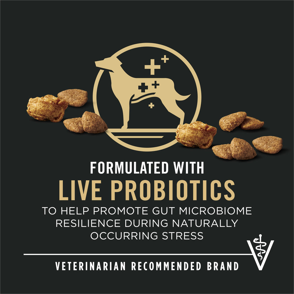 Purina Pro Plan Esenciales Completos: trozos desmenuzados en la mezcla, ideal para perros que prefieren texturas.