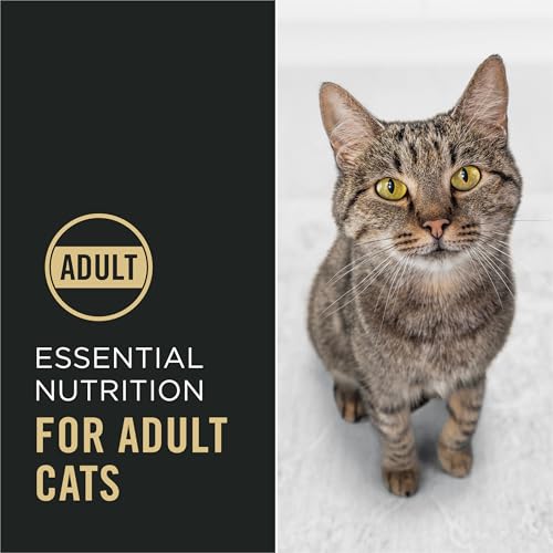 Purina Pro Plan Complete Essentials, crocante y trozos tiernos para comer con gusto.
