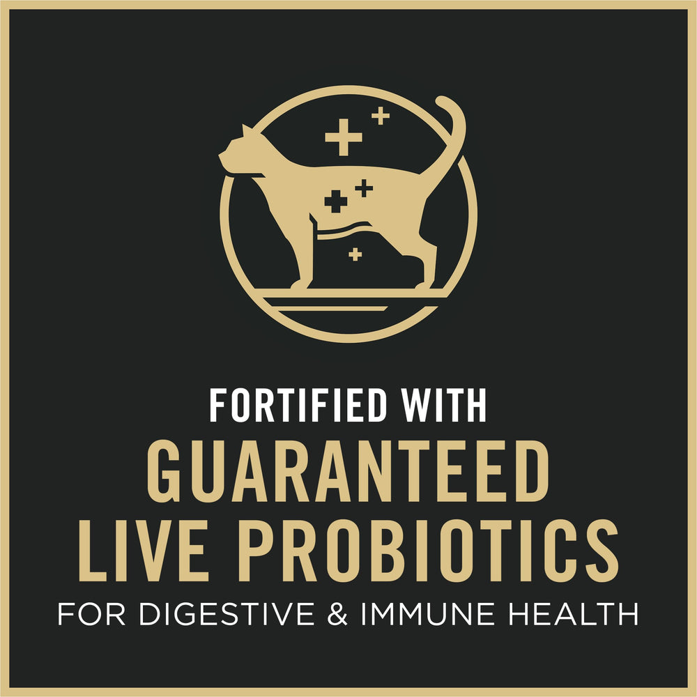 Purina Pro Plan Gatito probióticos vivos, ayuda digestiva y bienestar general.