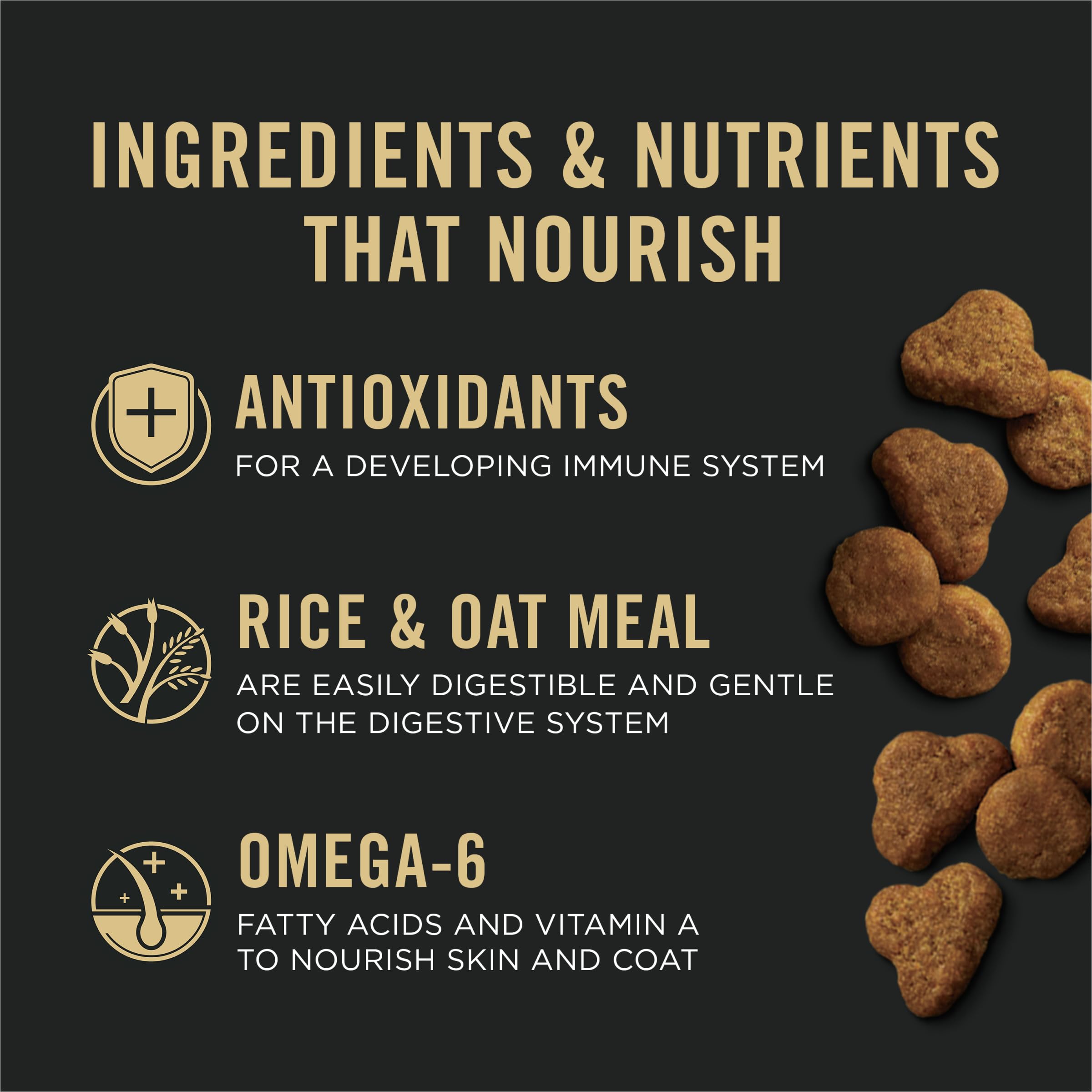 Purina Pro Plan Gatito DHA y Omega-3 para desarrollo cerebral y visual.