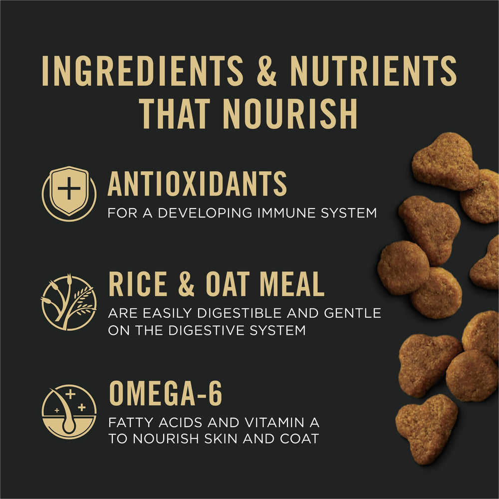 Purina Pro Plan Gatito DHA y Omega-3 para desarrollo cerebral y visual.