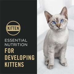 Purina Pro Plan Gatitos DHA para desarrollo cerebral y visión