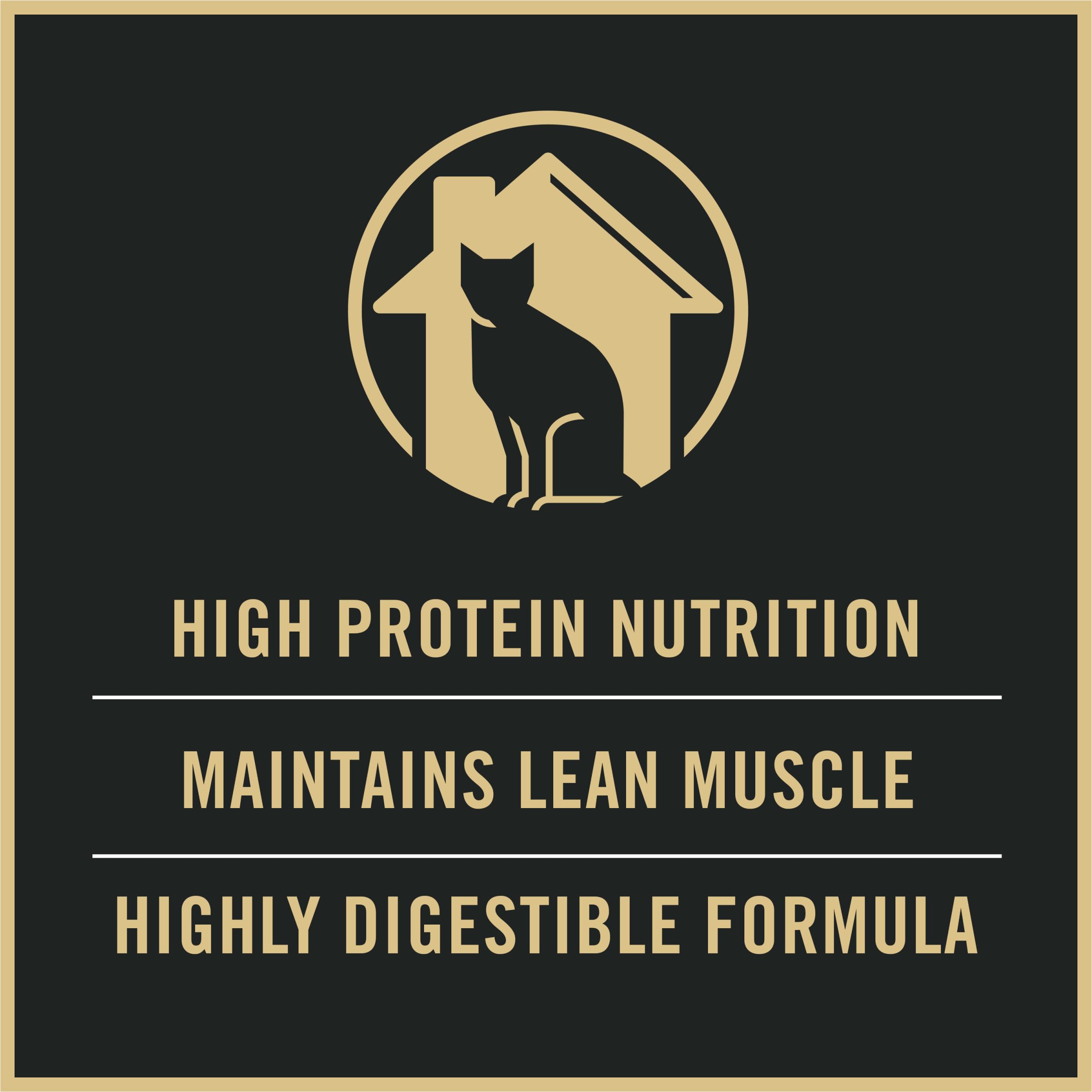 Purina Pro Plan para gato interior, ingredientes clave con pollo, apoyo a la nutrición diaria.