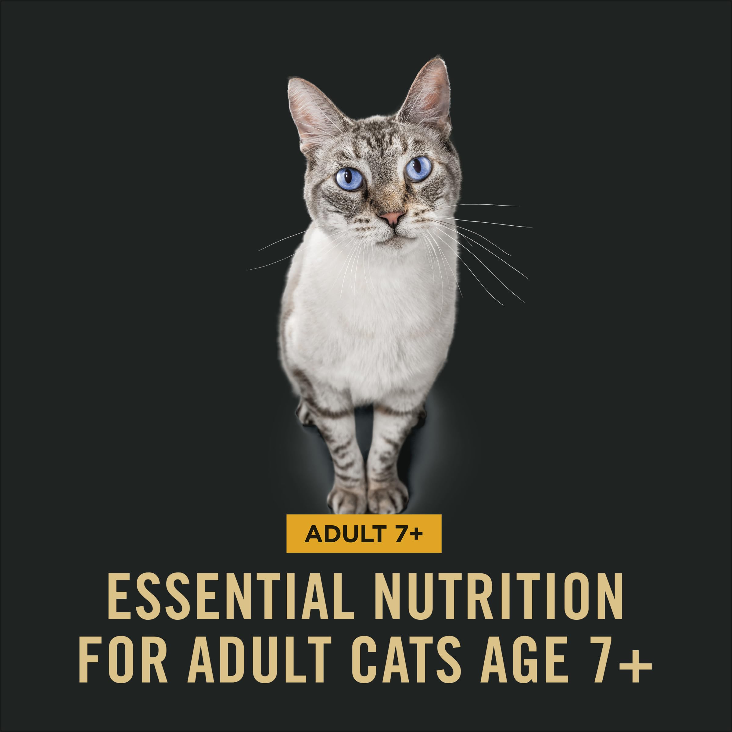 Purina Pro Plan para gatos mayores, nutrición con piel y pelaje gracias a vitamina A y omega-6.