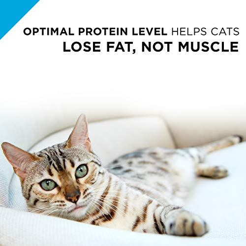 Purina Pro Plan: gestión de peso con pavo y arroz para gatos adultos