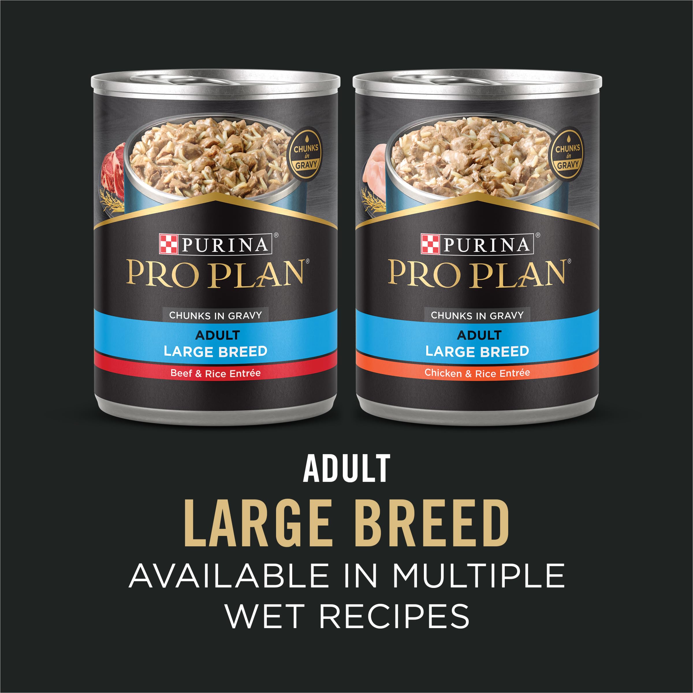 Figura de un perro grande comiendo Purina Pro Plan con pollo y arroz.