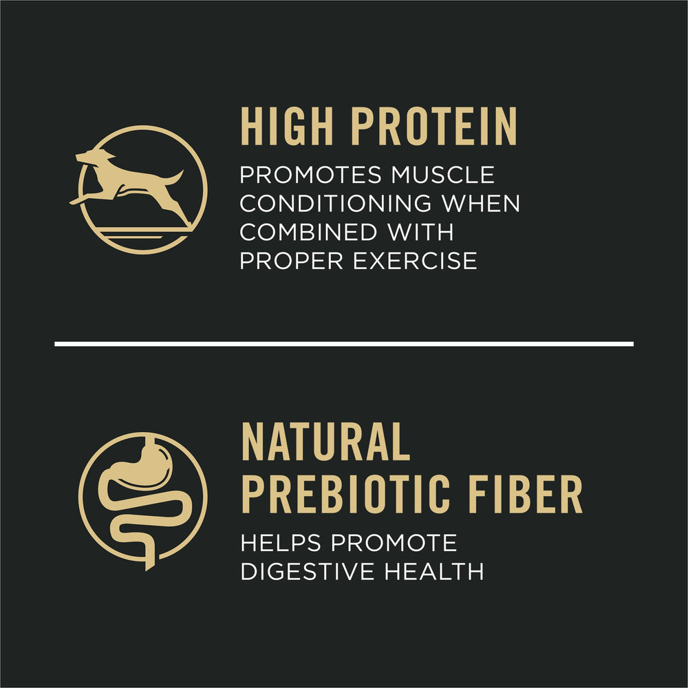 Purina Pro Plan Grandes probióticos vivos, croquetas para digestión saludable