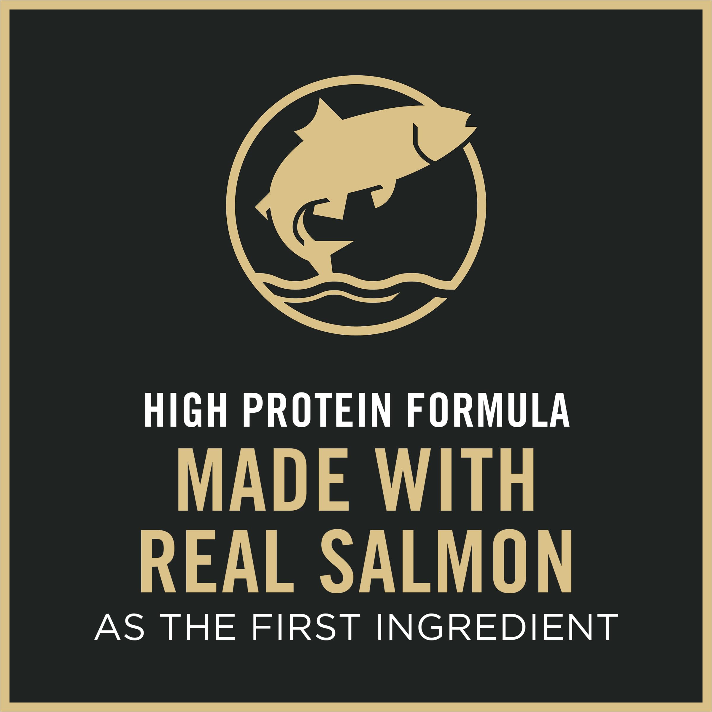 Purina Pro Plan Kitten porciones diarias para dieta equilibrada.