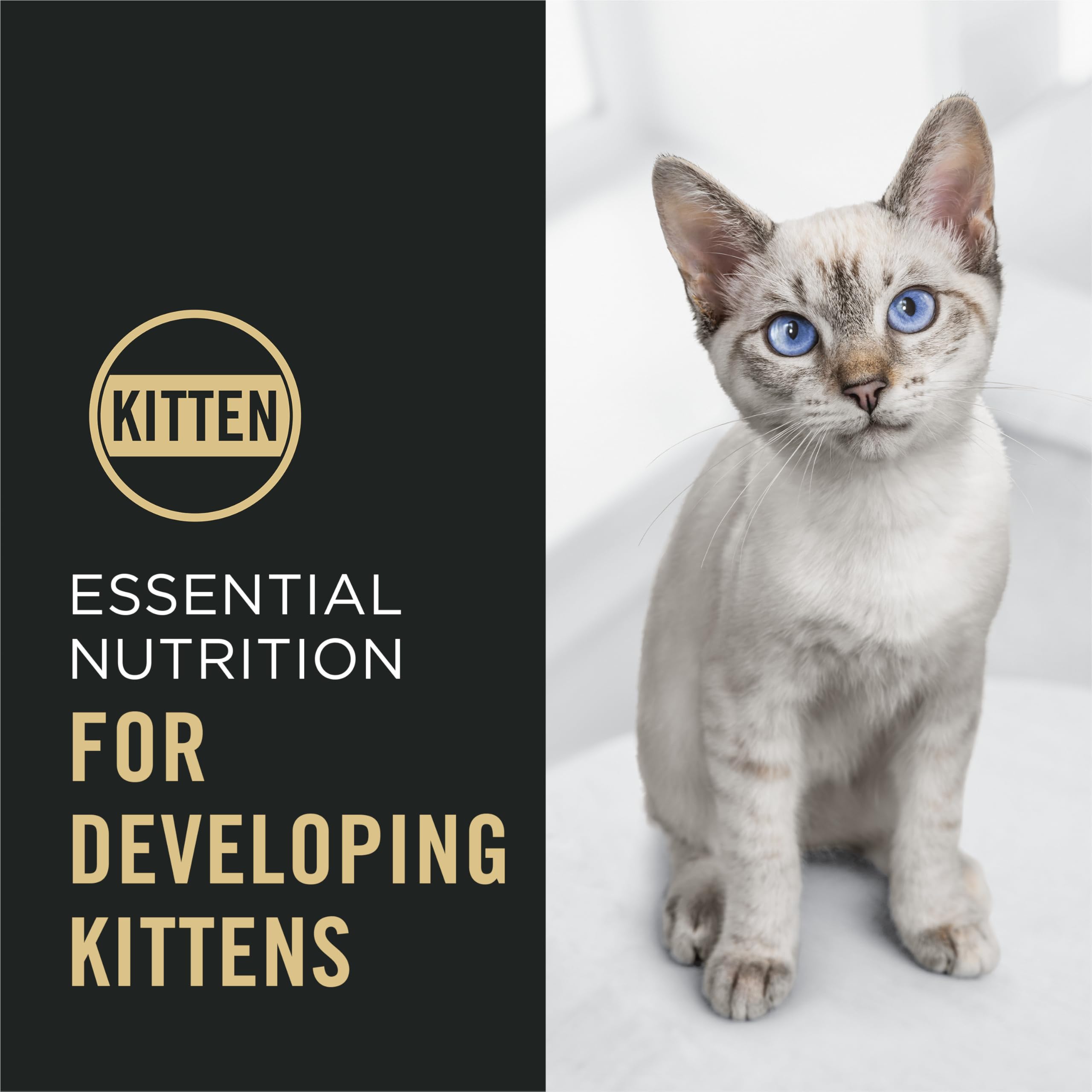 Purina Pro Plan Kitten Dry Food: DHA para desarrollo cerebral y visión en cada croqueta.