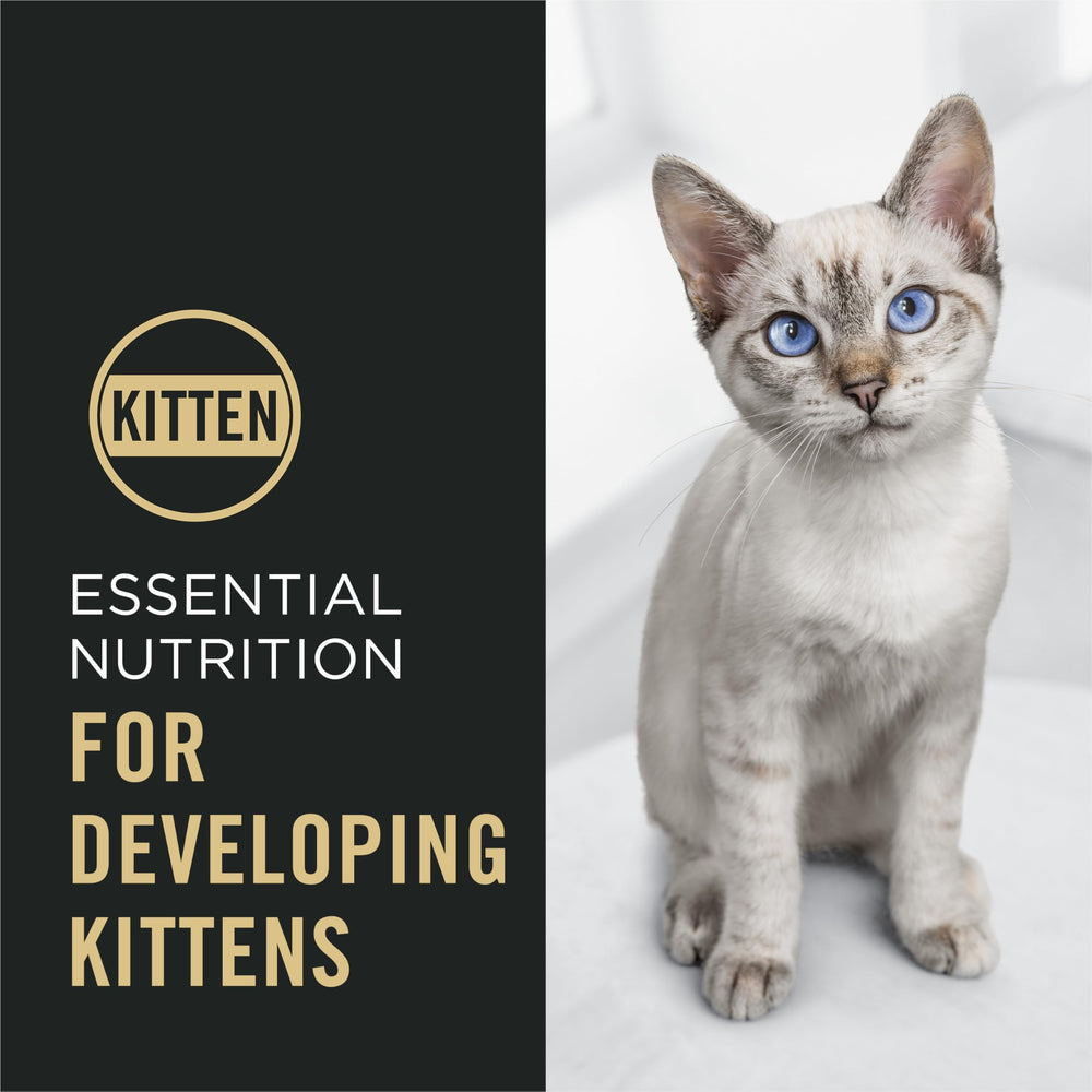 Purina Pro Plan Kitten Dry Food: DHA para desarrollo cerebral y visión en cada croqueta.
