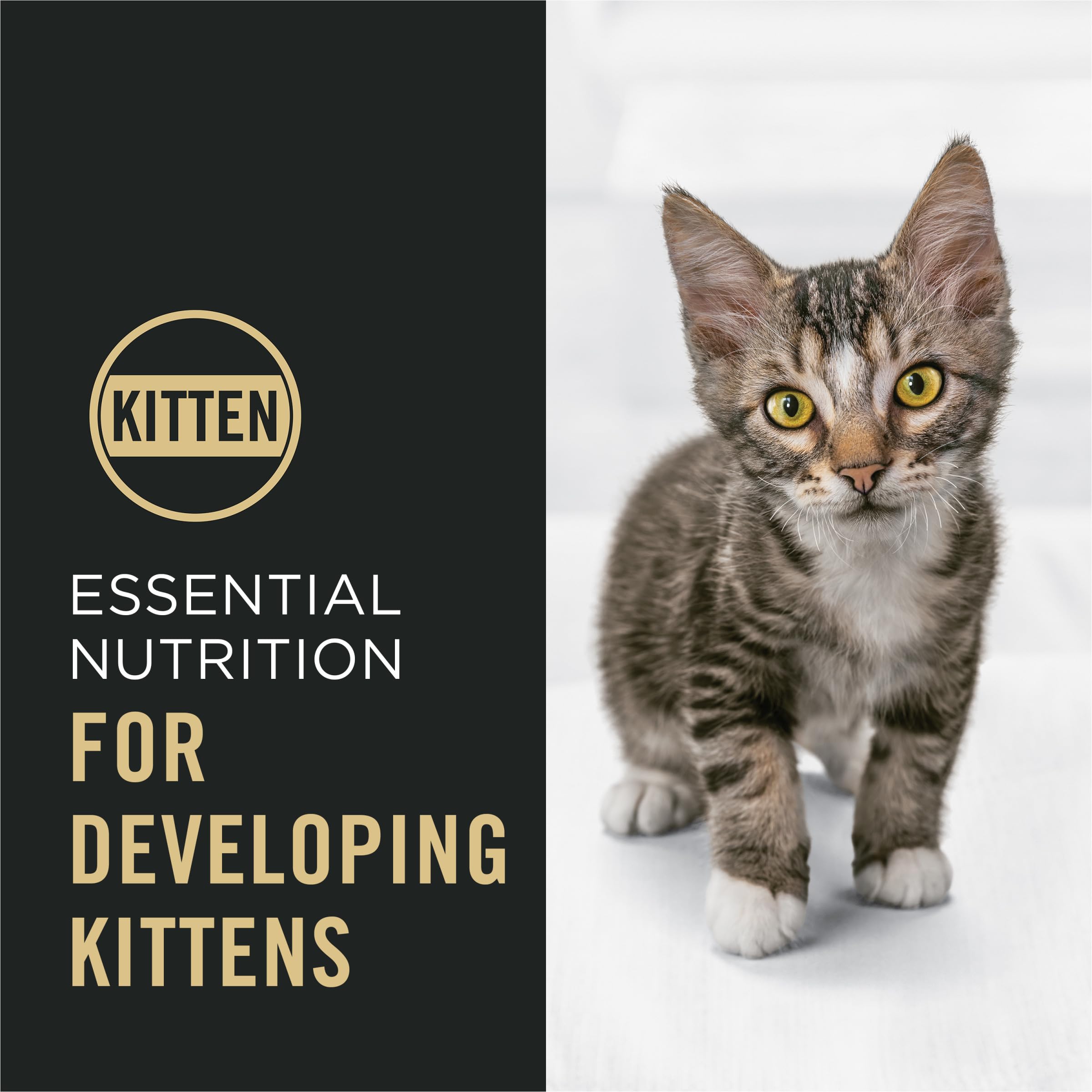 Purina Pro Plan Kitten ingrediente principal pollo para nutrición de calidad.