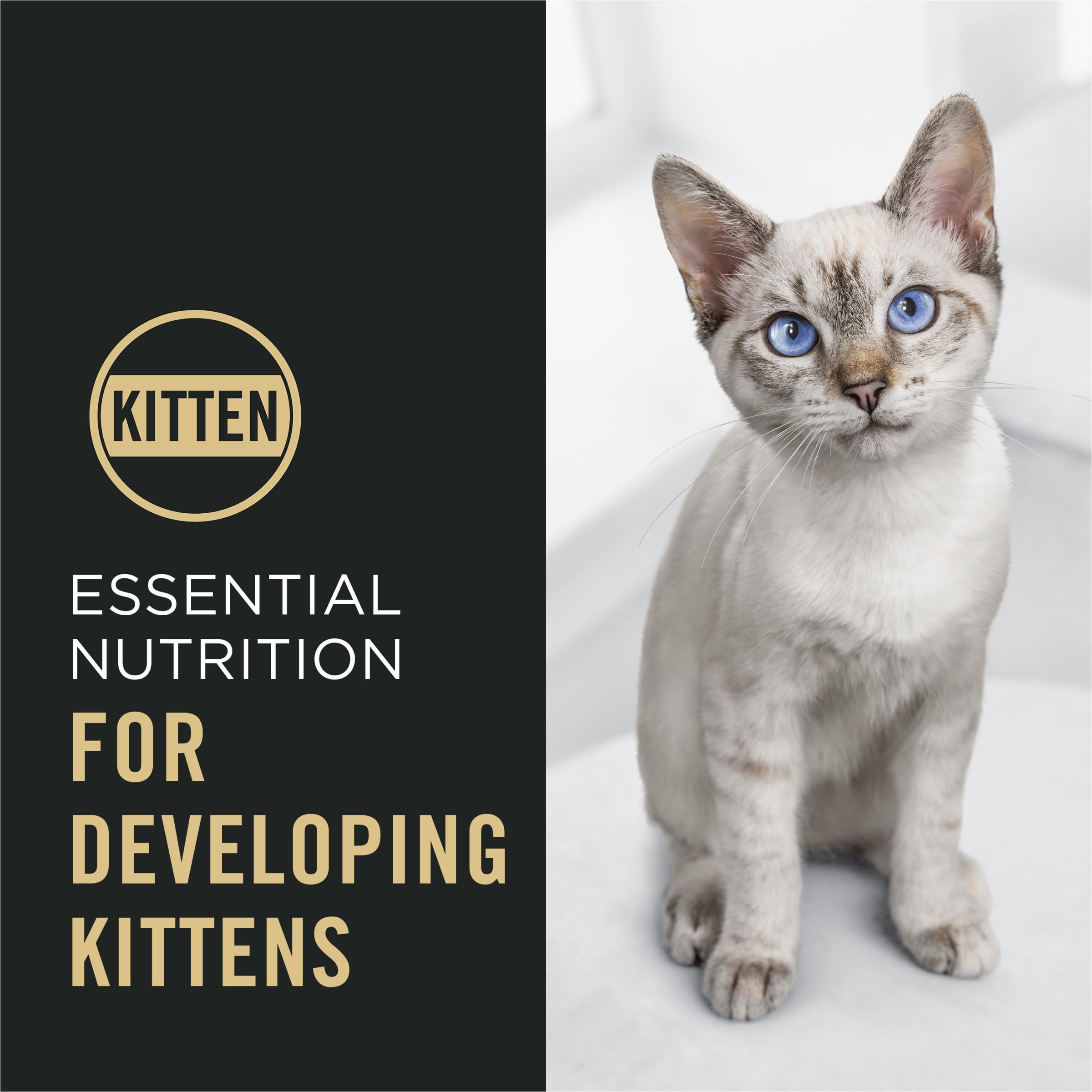 Purina Pro Plan Kitten, sin colorantes ni sabores artificiales.