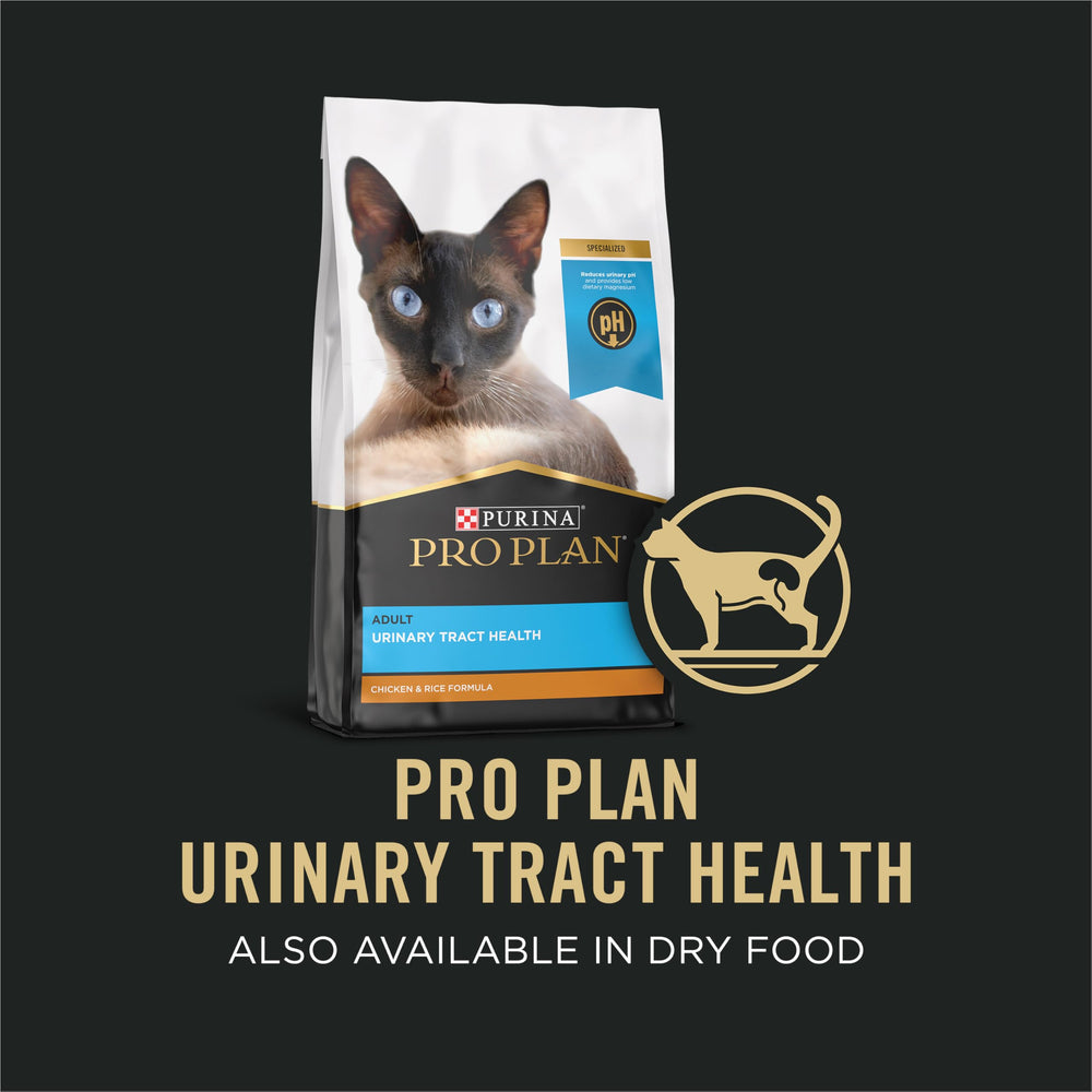 Purina Pro Plan latas variedad para gatos urinarios, cuidado específico.