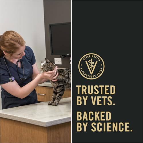 Purina Pro Plan LiveClear sabor pollo para gatitos activos