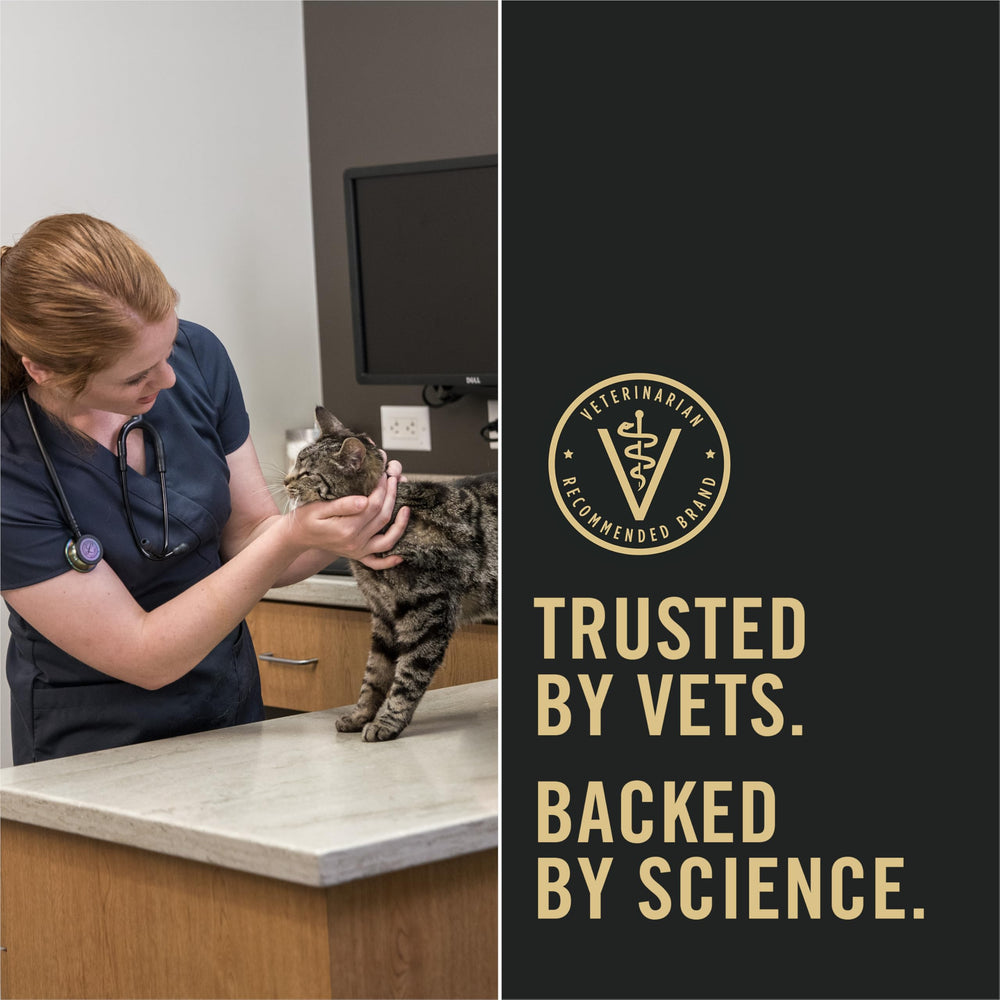 Purina Pro Plan LiveClear nutrición equilibrada para gatitos en crecimiento.