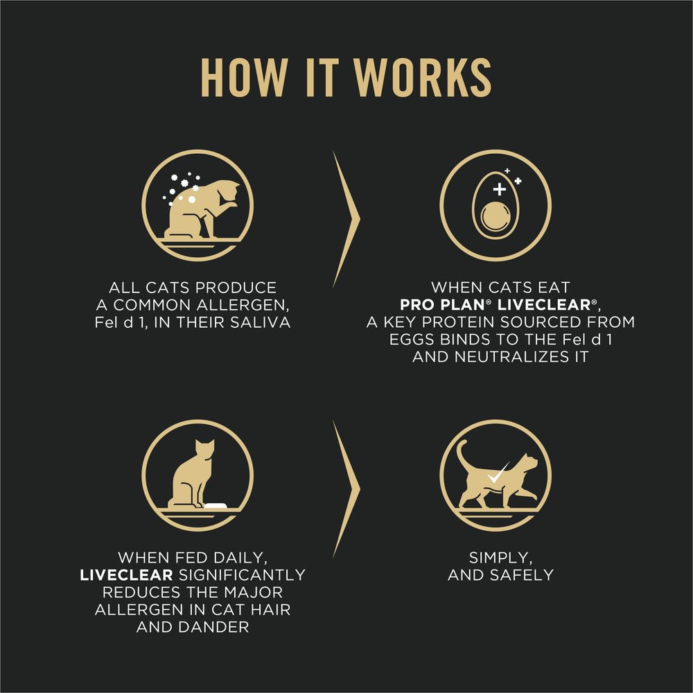 Purina Pro Plan LIVECLEAR: gato comiendo en un tazón, posible apoyo digestivo.