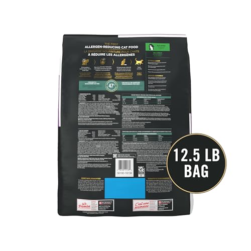 Gato de interior disfruta de sabor pavo-arroz con Purina LIVECLEAR Indoor.