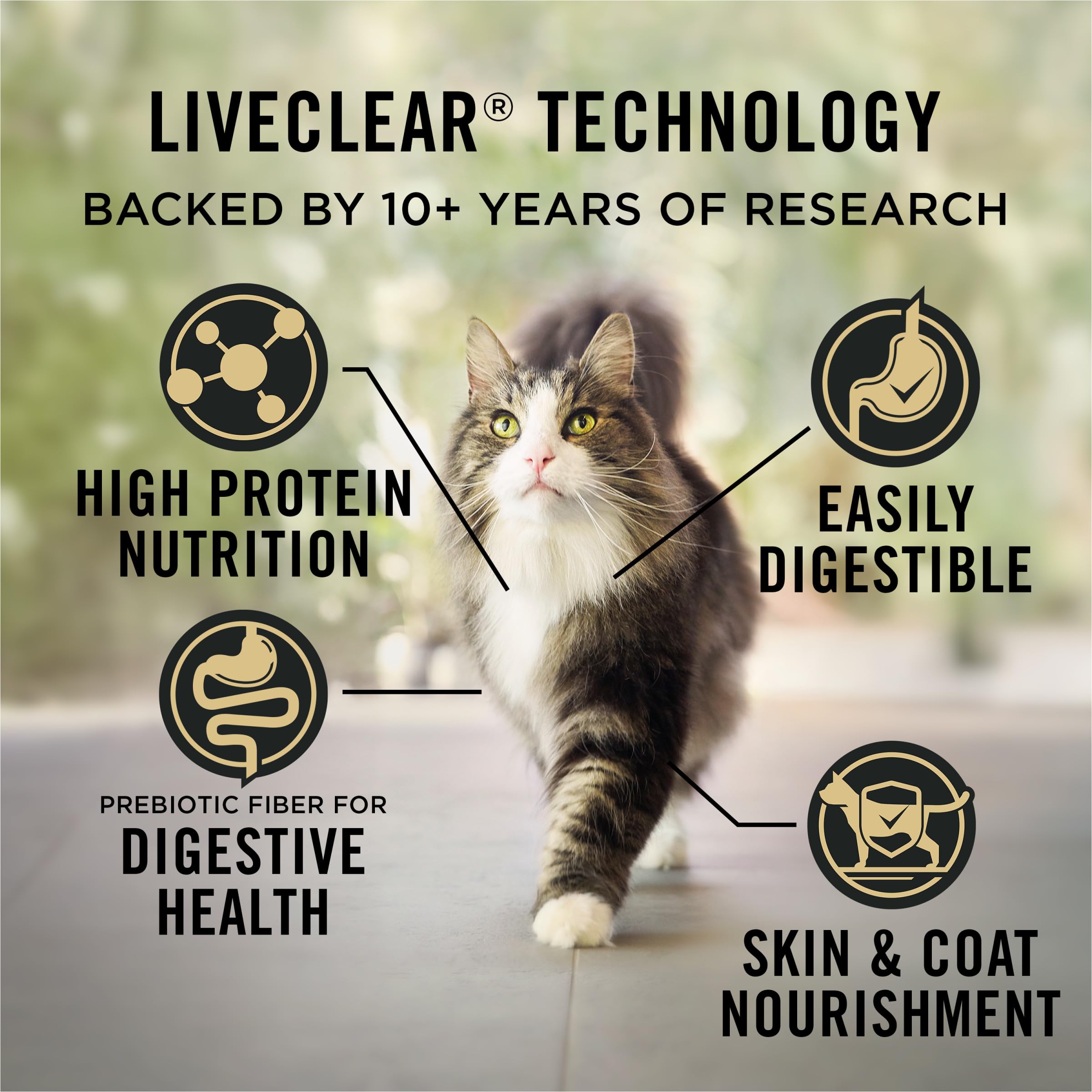 Purina Pro Plan LIVECLEAR, proteína clave huevo para reducir alérgenos.