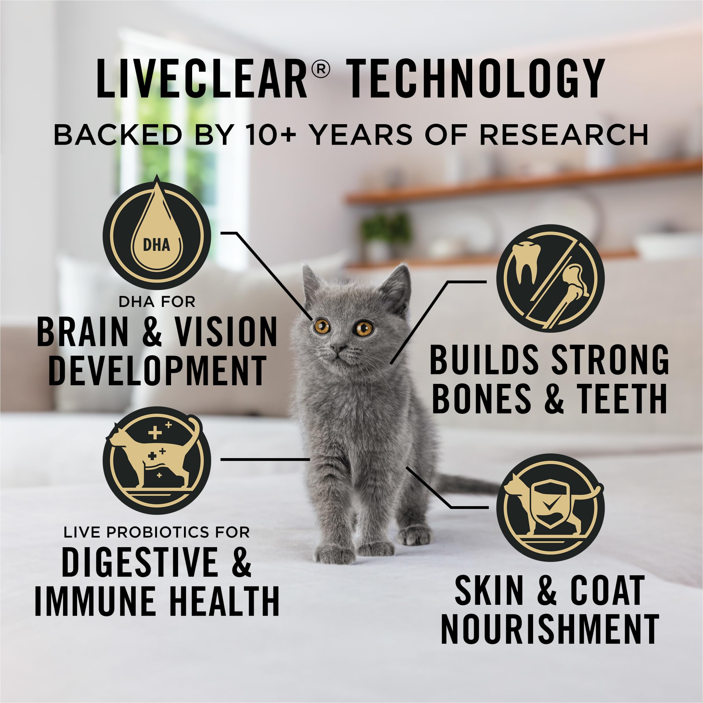 Proteína clave derivada de huevos en LiveClear para gatitos