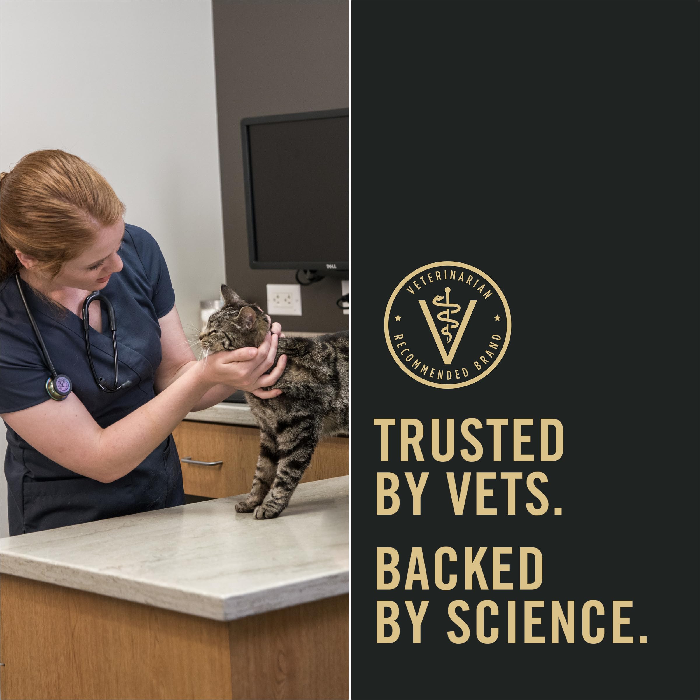 Purina Pro Plan LiveClear reducción de alérgenos Fel D1