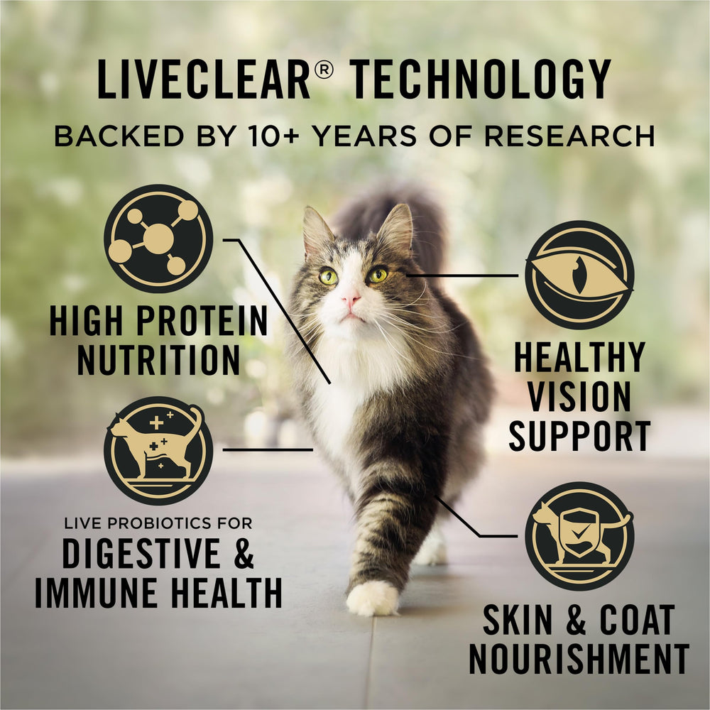 Salmón como primer ingrediente, proteína alta para gatos activos.