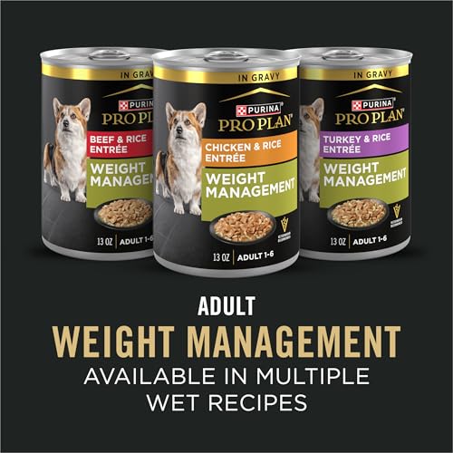 Purina Pro Plan mezcla de texturas: croquetas crujientes y trozos tiernos.