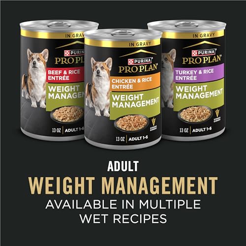 Purina Pro Plan nutrición equilibrada para perros senior activos