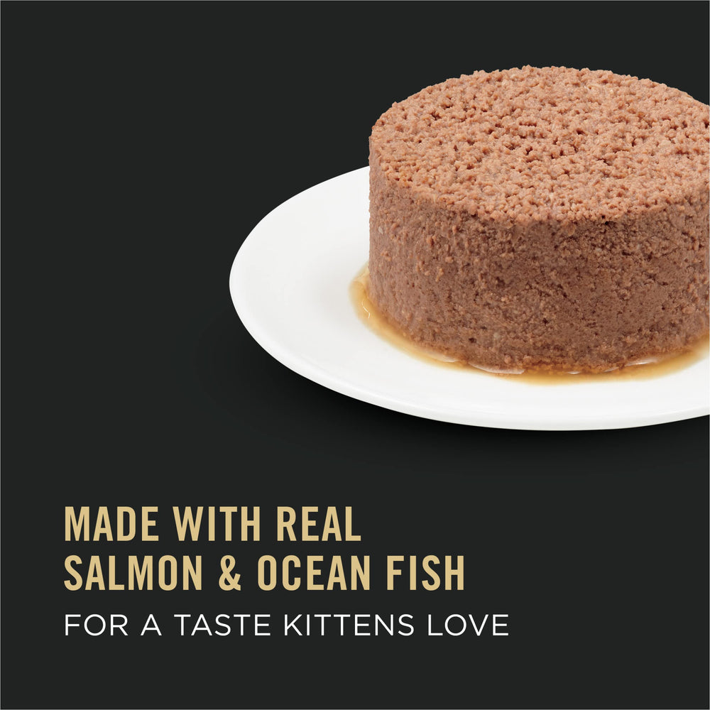 Purina Pro Plan Pate Gatito Salmón, textura suave para consumo diario.