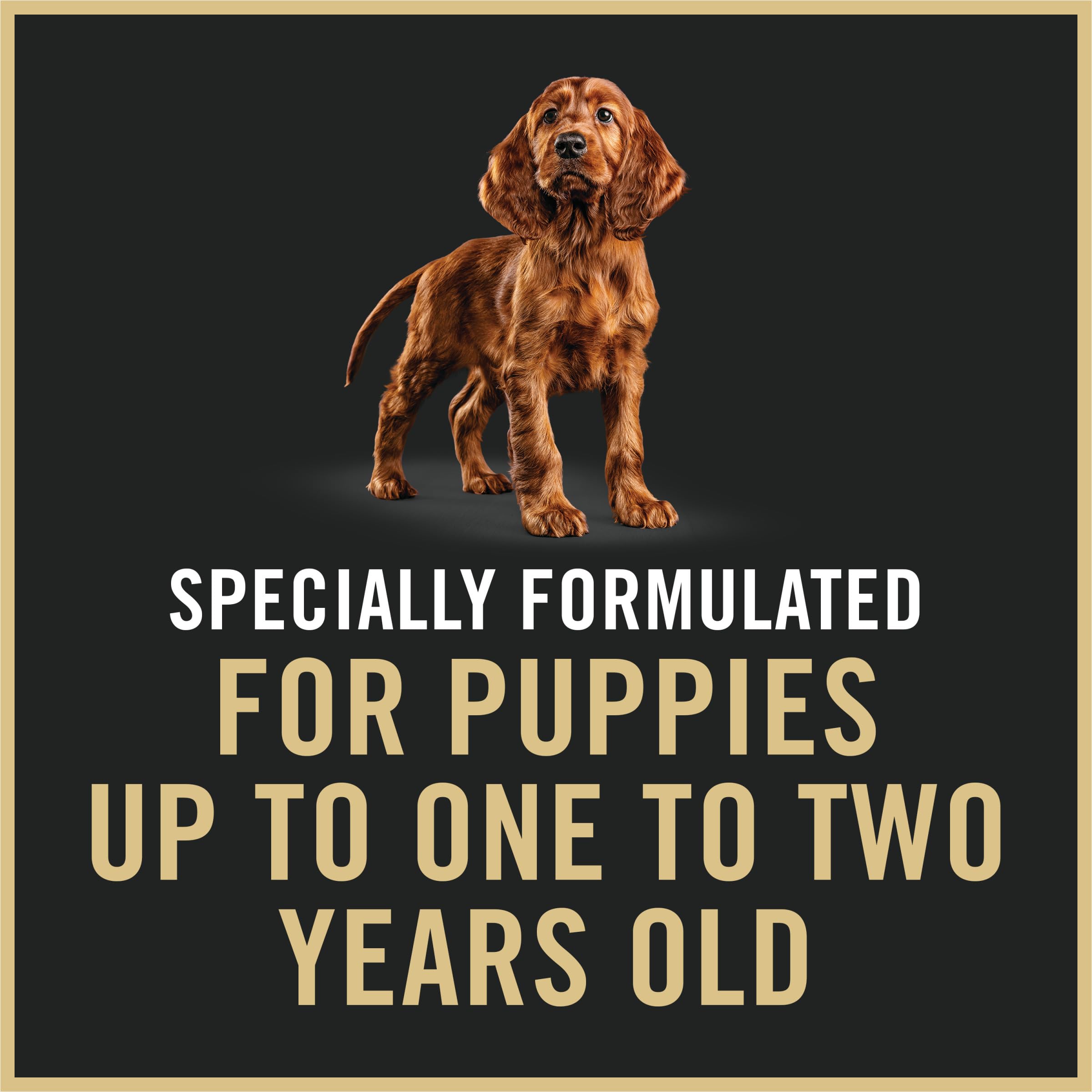 Purina Pro Plan Puppy Classic sin colorantes ni conservantes añadidos.