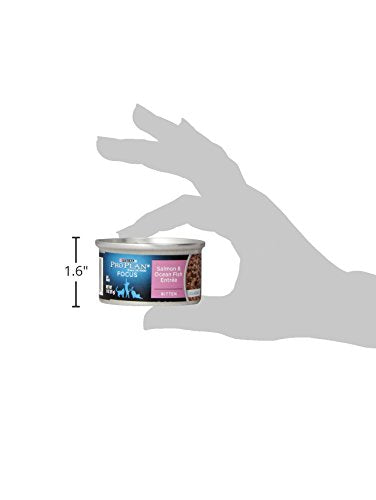 Purina Pro Plan Salmón y Pescado Océano para gatitos, mezcla sabrosa para desarrollo.