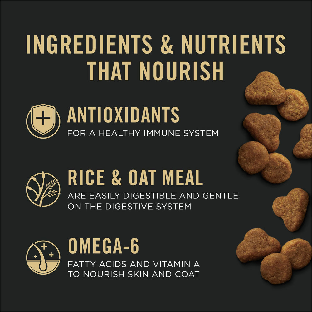 Purina Pro Plan Senior Gato Salmón Arroz: gato comiendo con satisfacción