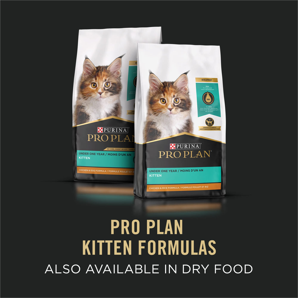 Purina Pro Plan Gatitos antioxidantes para apoyar el sistema inmune en desarrollo.