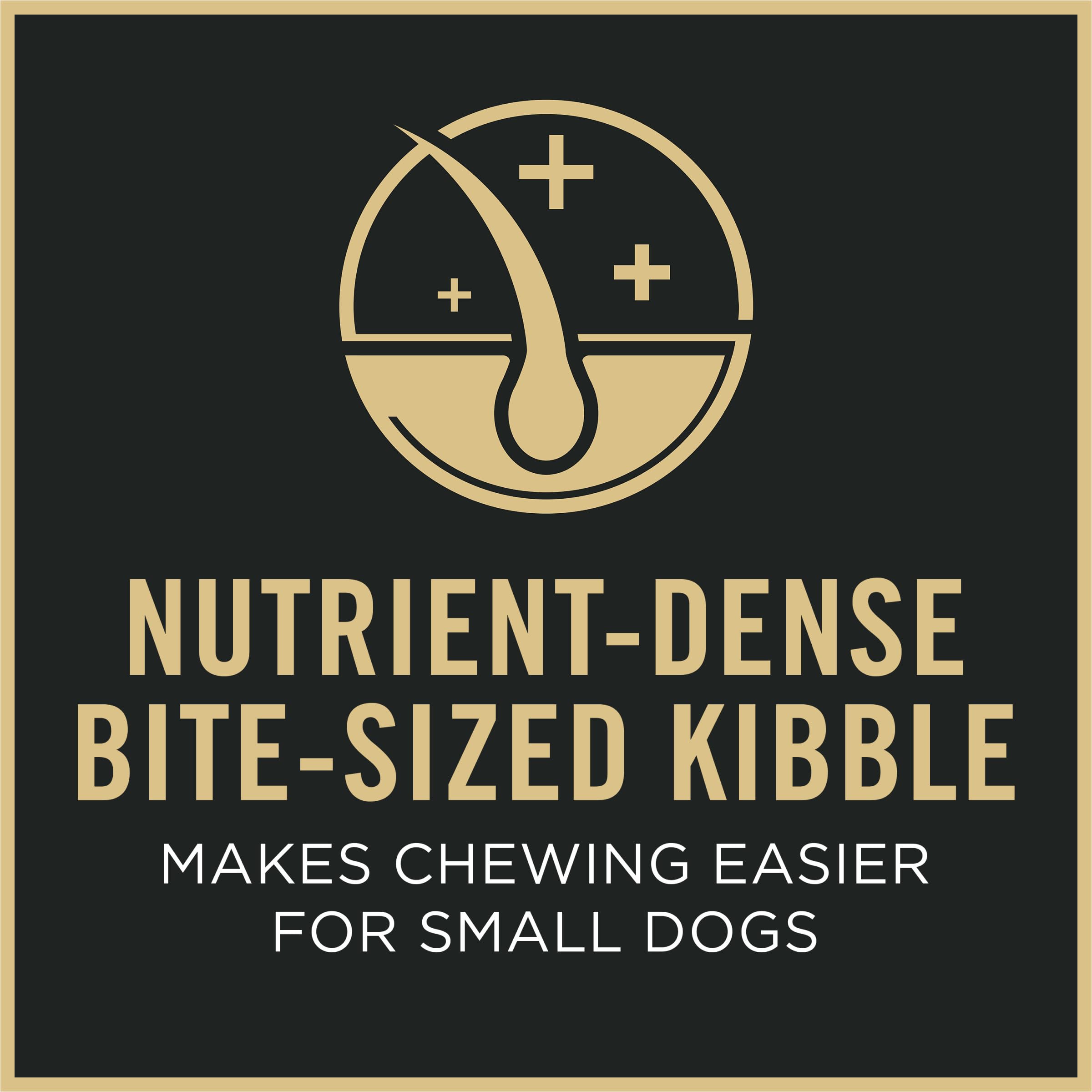Purina Pro Plan Small Breed 7 Plus pollo real provee energía para razas pequeñas.