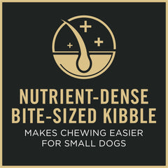 Purina Pro Plan Small Breed 7 Plus tazón con croquetas para razas pequeñas