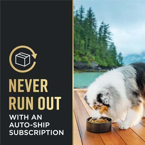 Purina Pro Plan para razas pequeñas, opción confiable para alimentación cotidiana.