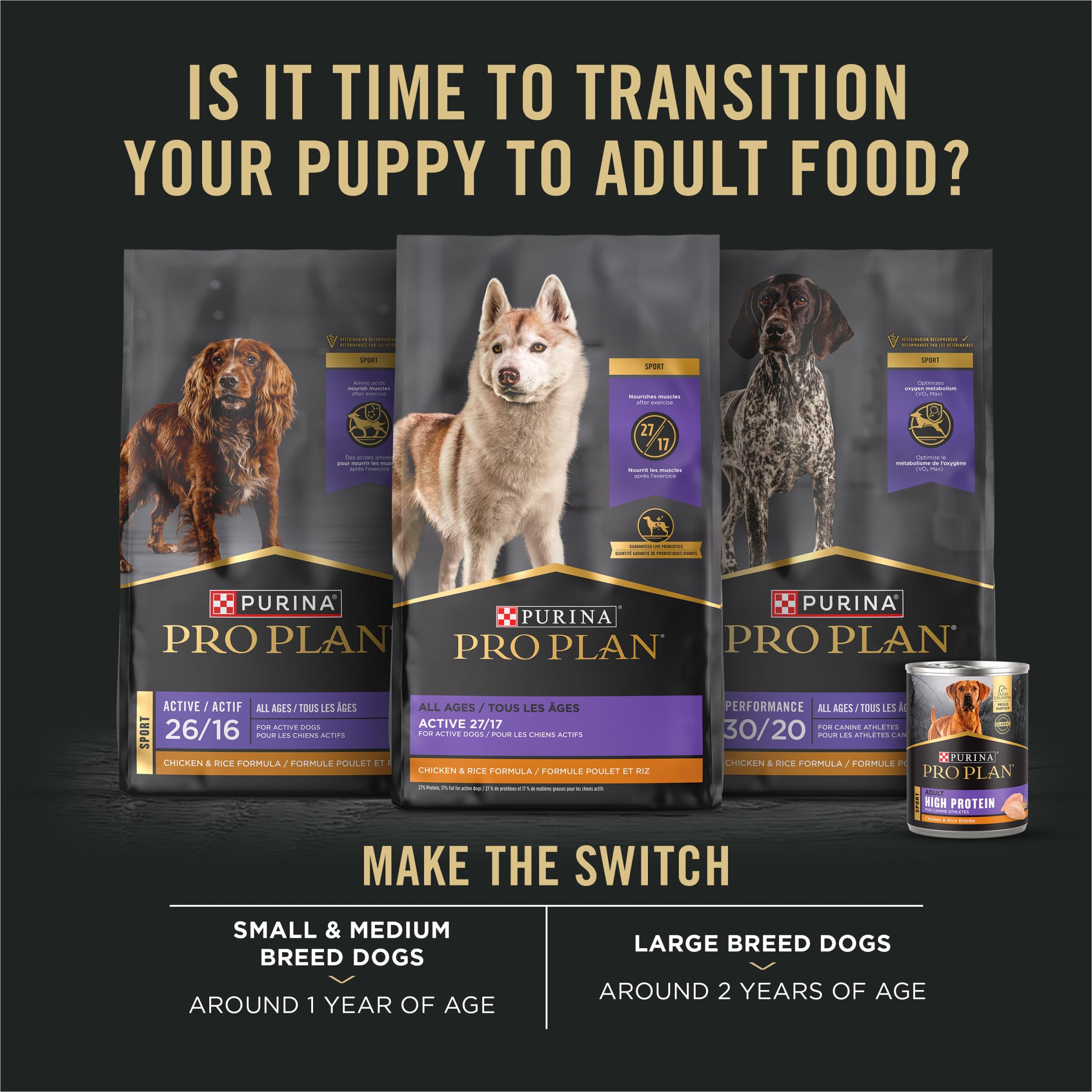Purina Pro Plan Sport, antioxidantes para el sistema inmunitario.